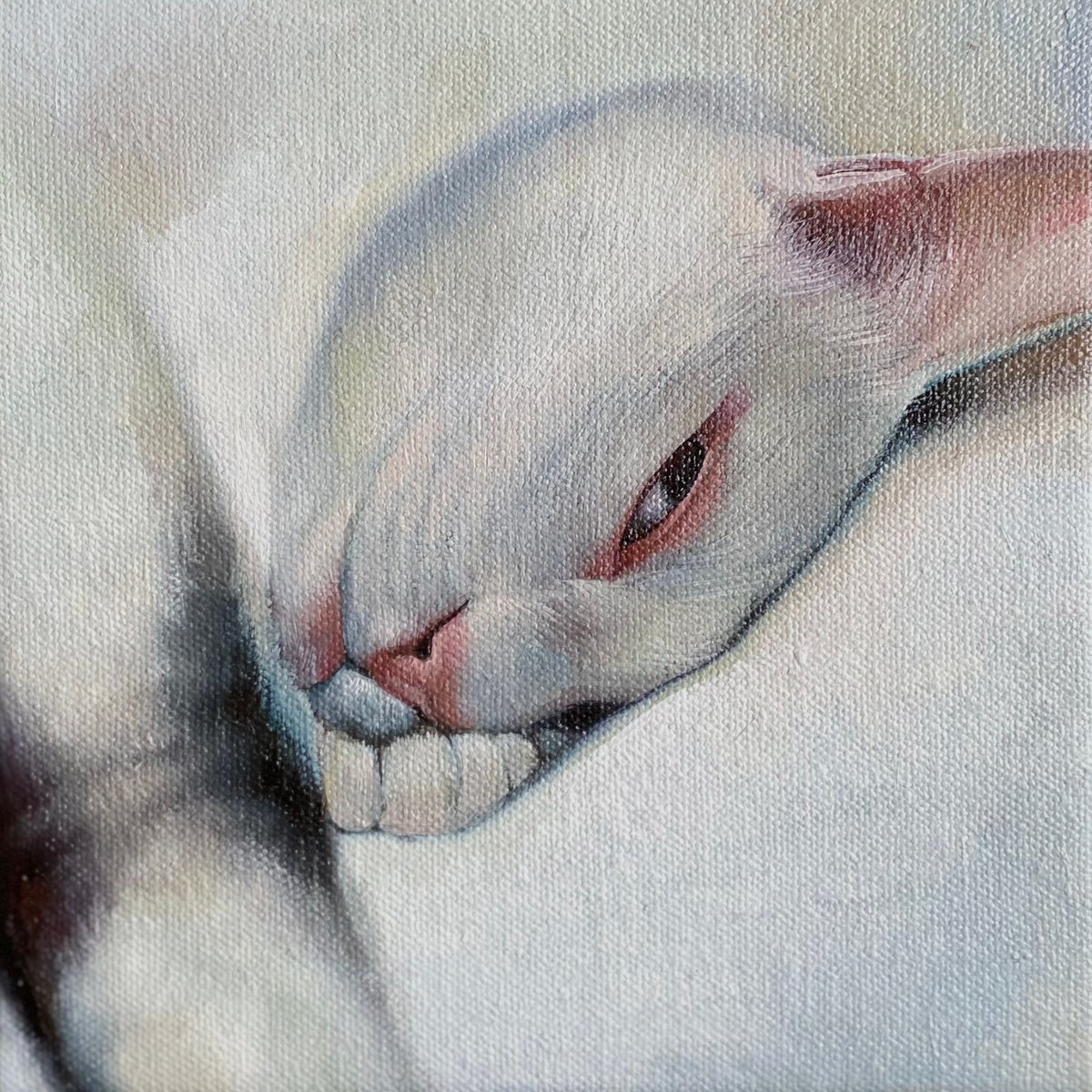 Cat Portrait by Anastasia Parfilo