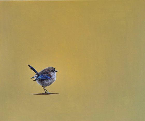 Fairy Wren