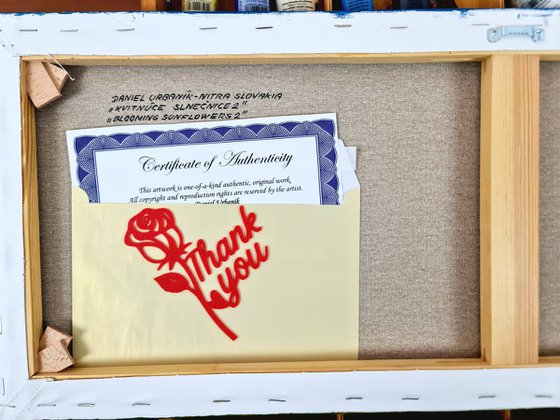 Blooming sunflowers 2