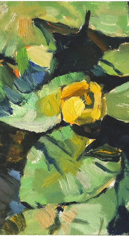 Yellow lily. Sunny day. by Nataliia Nosyk