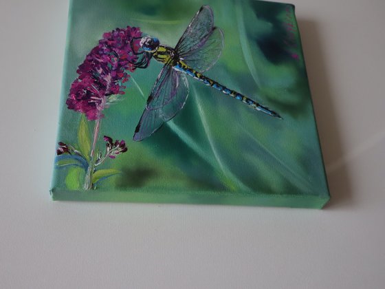 Dragonfly In A Meadow Flowers