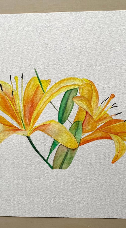 Lilies watercolour original painting by Bethany Taylor