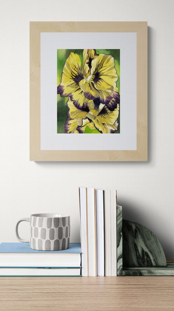 yellow pansy