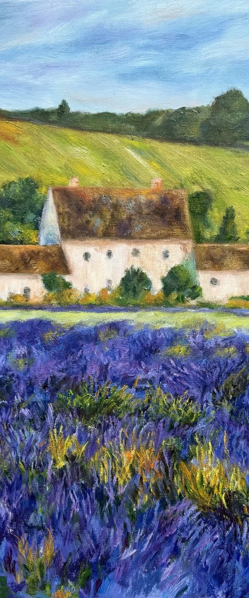 The Little Waltz in Purple by Naihsin Chwu