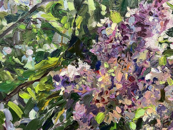 A lilac in the garden