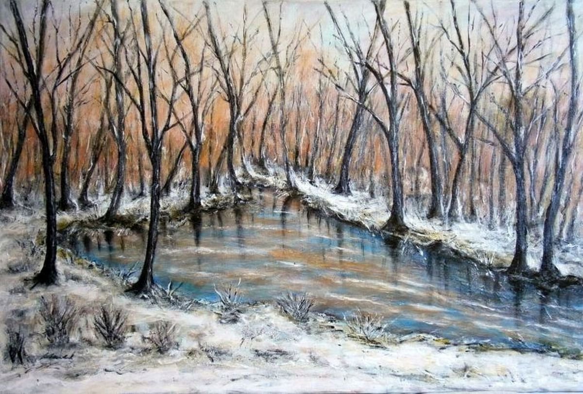 Winter at the lake .. by Emilia Urbanikova