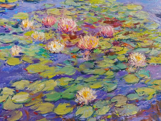 Nymphaeums are enveloped in the sun.