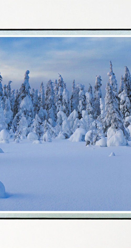 Finland Snow Forest two by Robin Clarke