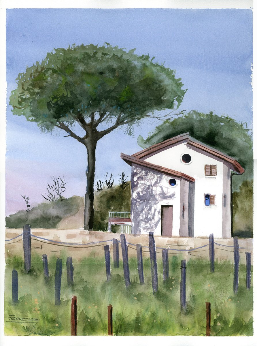 Captivating Italy: Stone Pine And White Small Houses by Olga Shefranov (Tchefranova)