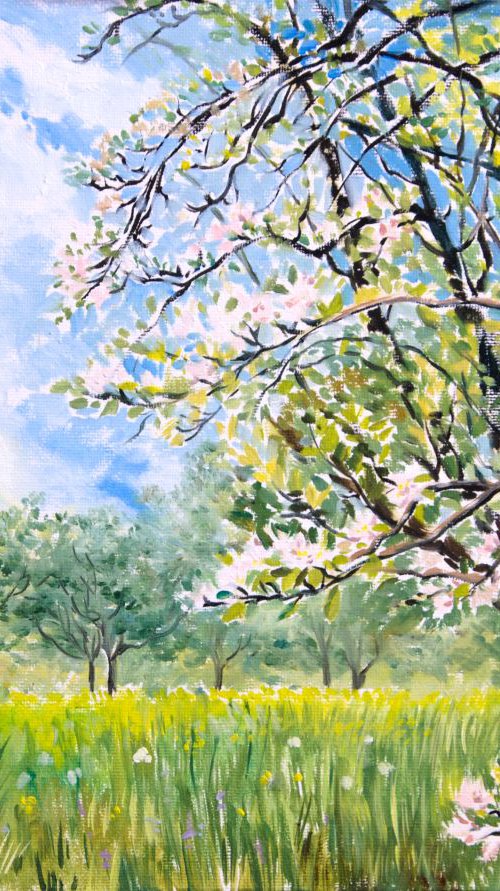 Apple trees by Daria Galinski