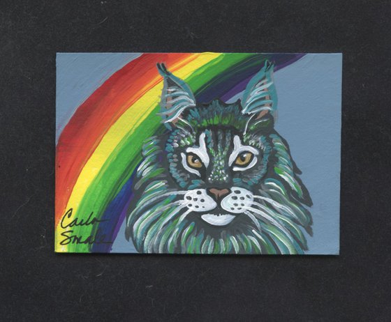 Rainbow Maine Coon Cat