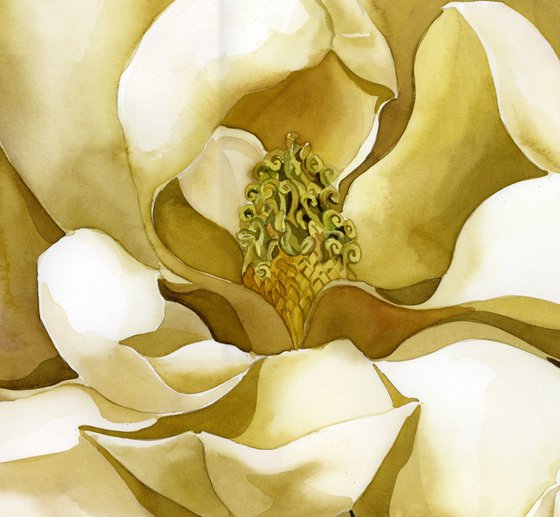 magnolia in yellow