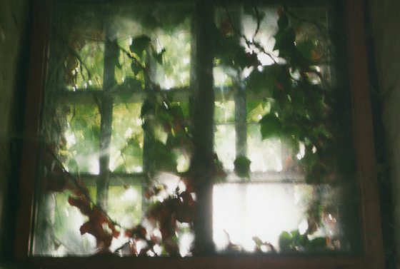 In A Dream State - Unmounted