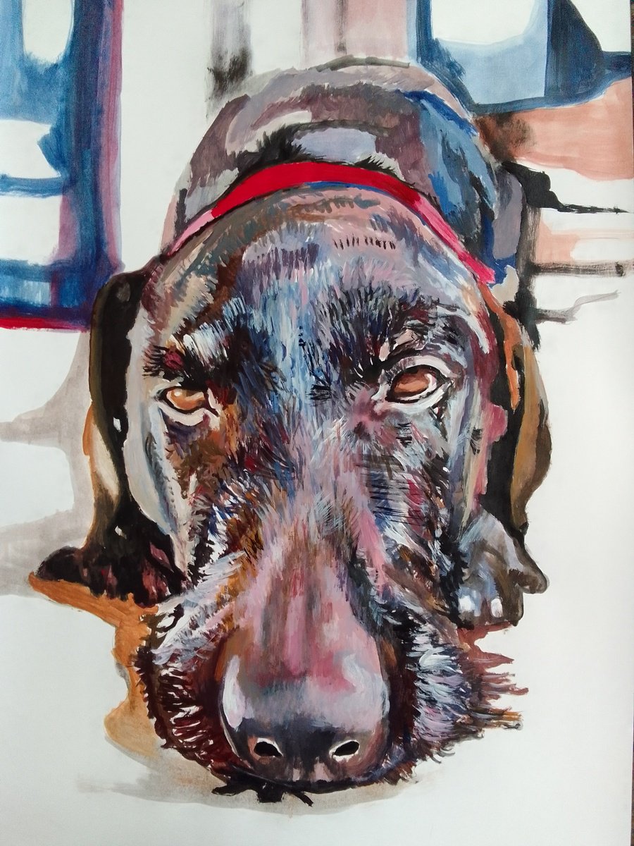 Photorealistic Animal Acrylic Painting By Soso Kumsiashvili, 24 X 33", German Wirehaired Pointer, Original Artwork