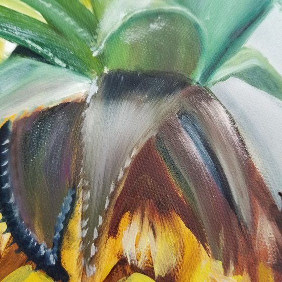 Tropical Fruit Breakfast. Original Oil Painting on Canvas. Tropical Still life. Tropical Fruit Room accent. Summer painting.