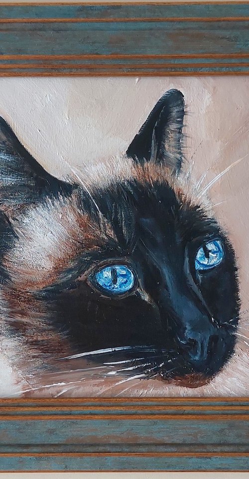 Siamese cat by Ira Whittaker