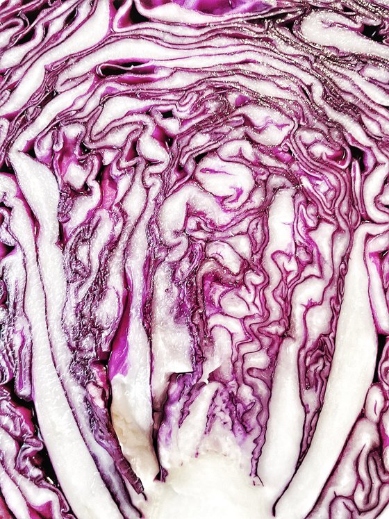 ABC#98 radicchio