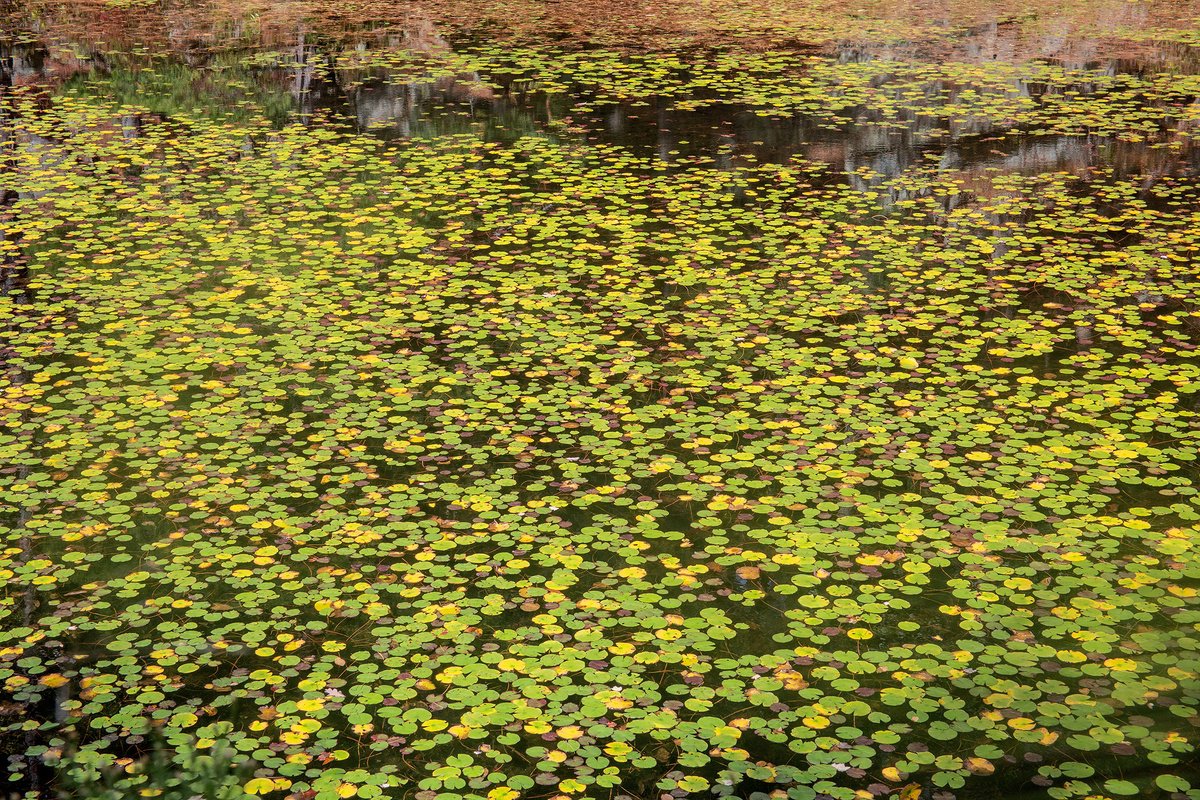 Photorealistic Landscape Photograph By Michael Filonow, 32 X 22", Harriman