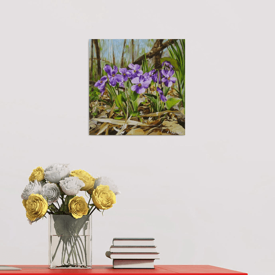Spring Violets on Forest Floor
