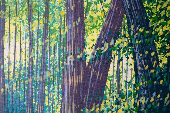 Sunlit Spring Forest Path