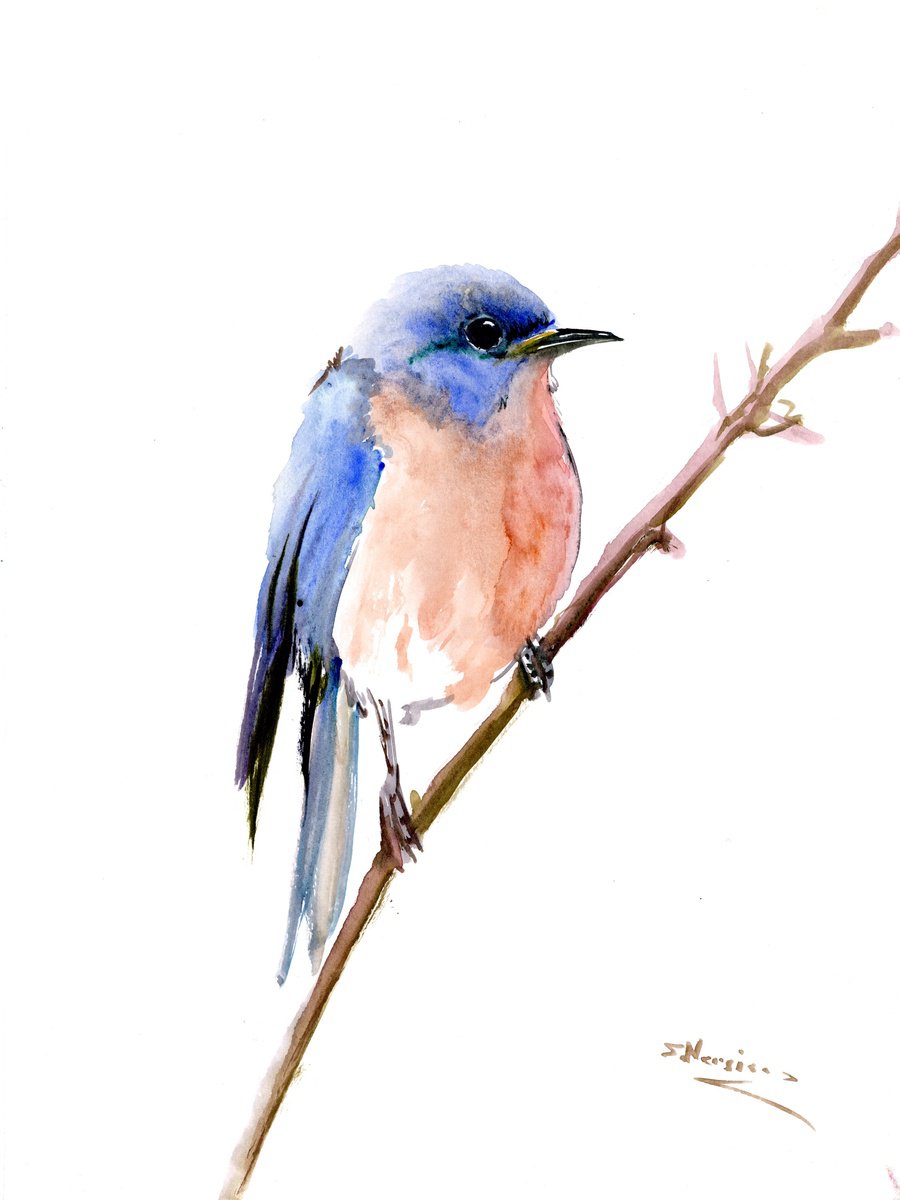 Bluebird by Suren Nersisyan