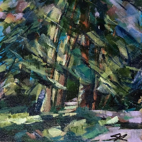 Study of Pines by Stuart Roper