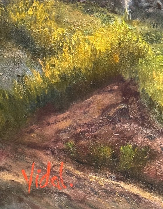Beneath the River Red Gum