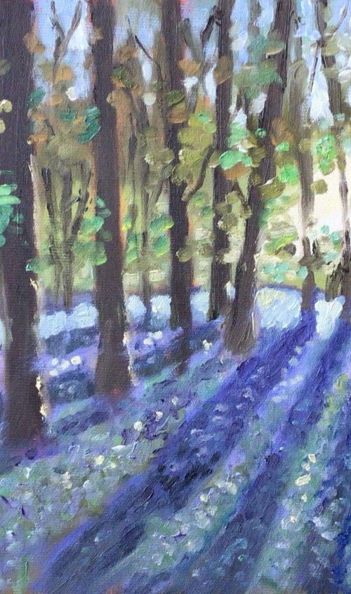 Bluebells at Poulton Woods by Julian Lovegrove Art