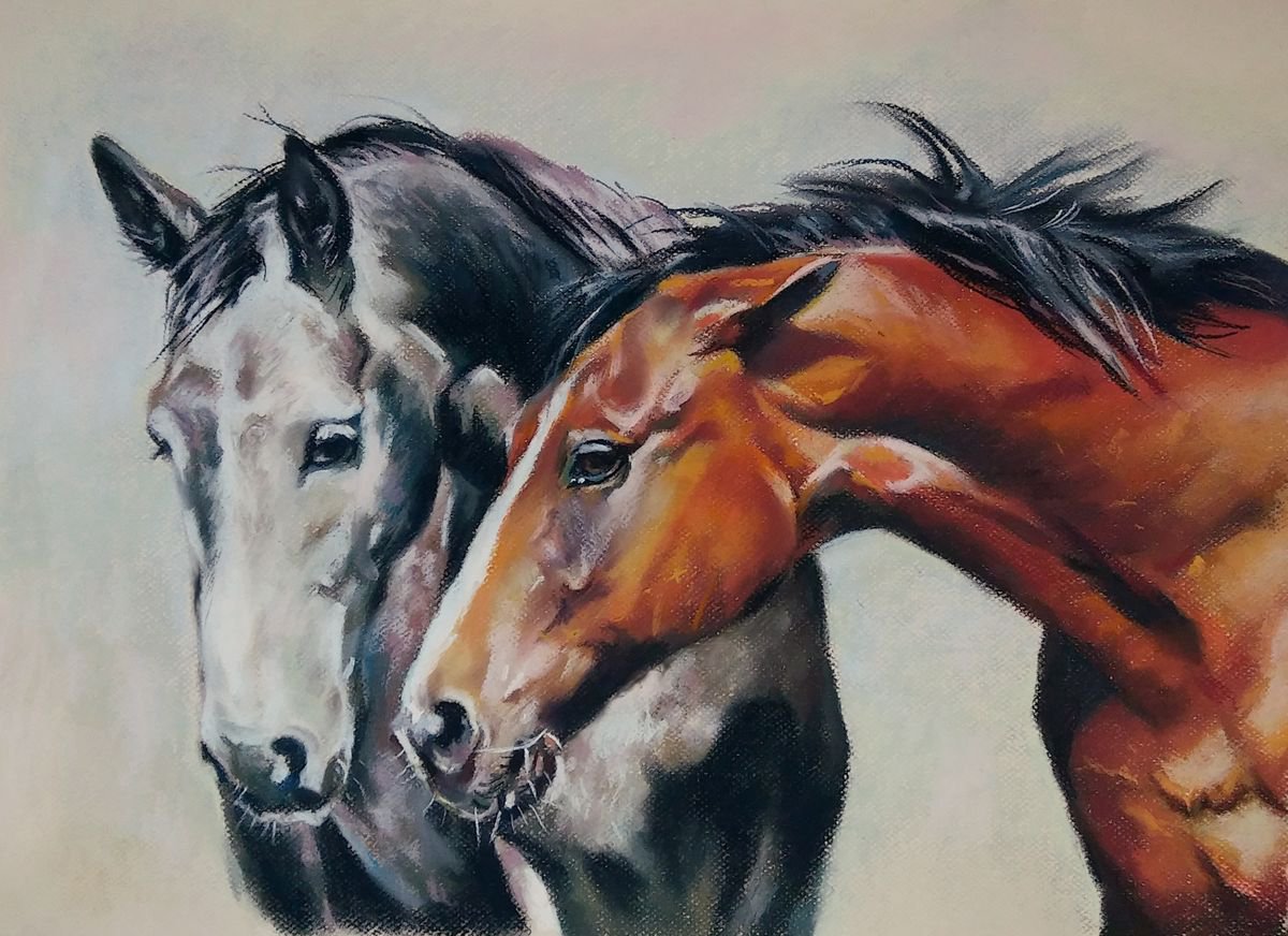A series of horse portraits by Magdalena Palega