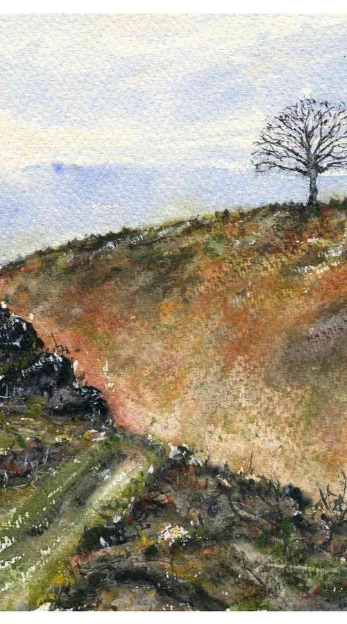 The Tree On The Ridge by Neil Wrynne