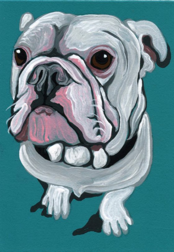 ACEO ATC Original Miniature Painting Olde English Bulldogge Pet Dog Art-Carla Smale