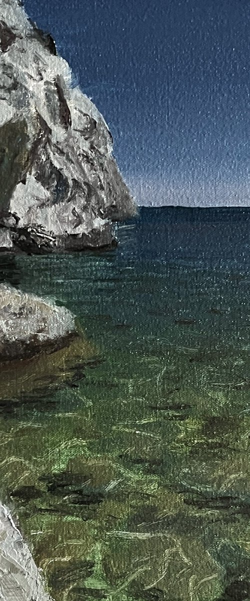 The Rocky Shore by Michael Rak