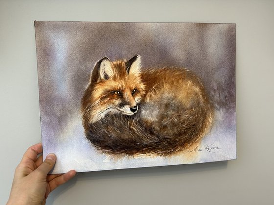 Fox in the snow