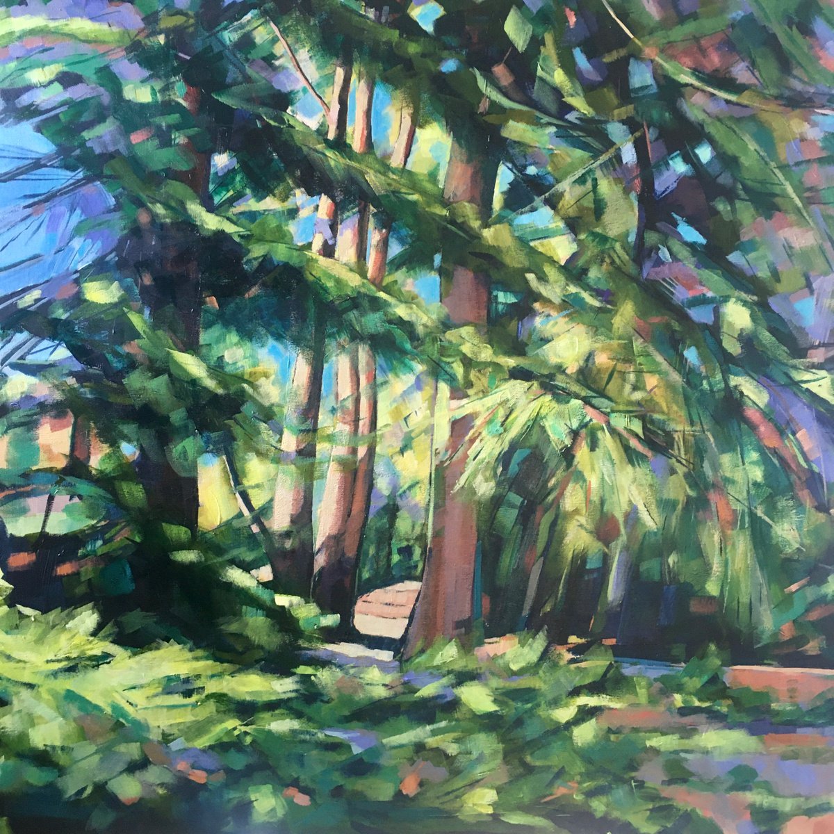 Light through the pines by Stuart Roper