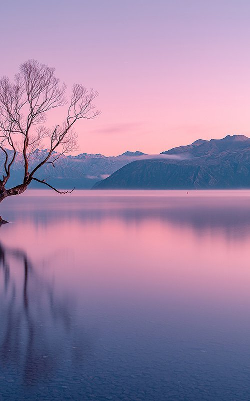 Stillness at Lake Wanaka by Nick Psomiadis