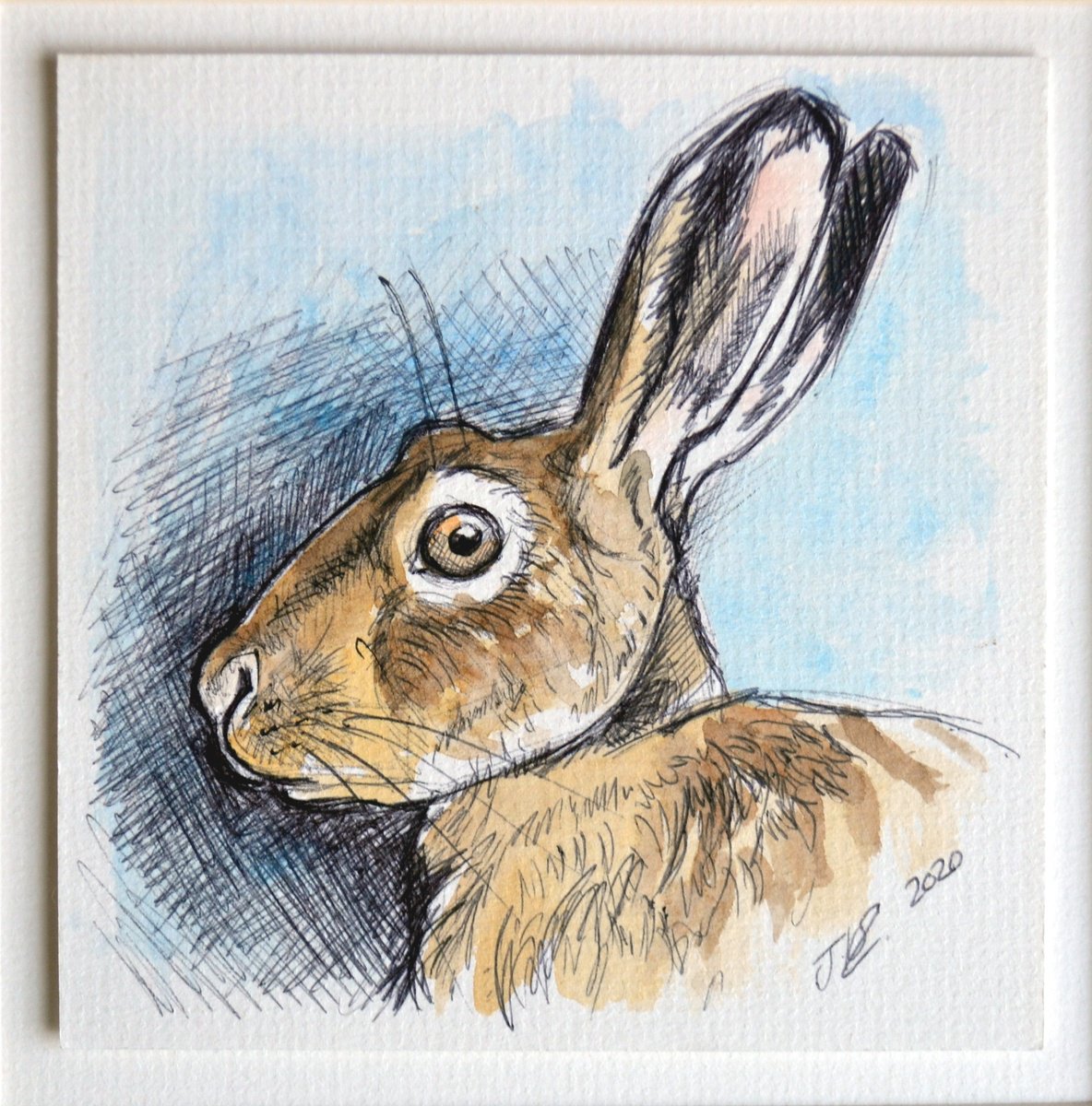 Hare Study by Joanne Kitson
