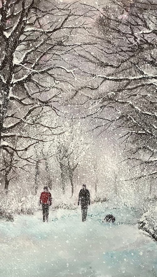 Winter woodland walk by Darren Carey