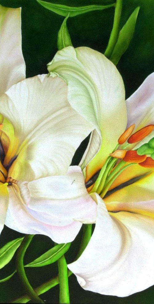 Lilies in Motion by Renee  DiNapoli