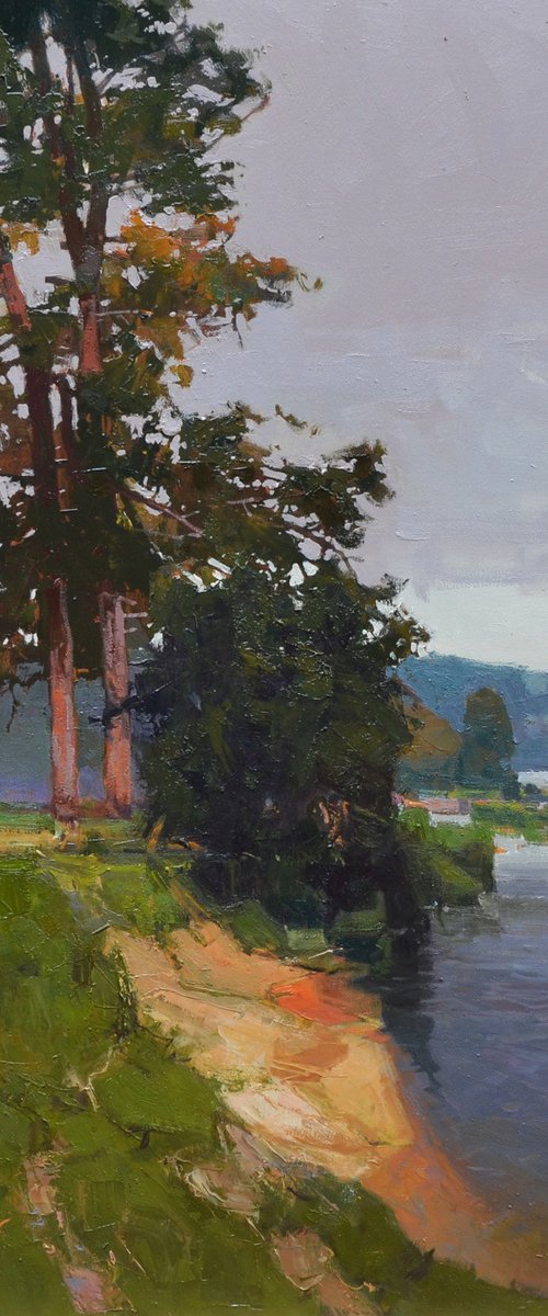 Silence of Pines by Vytautas Laisonas
