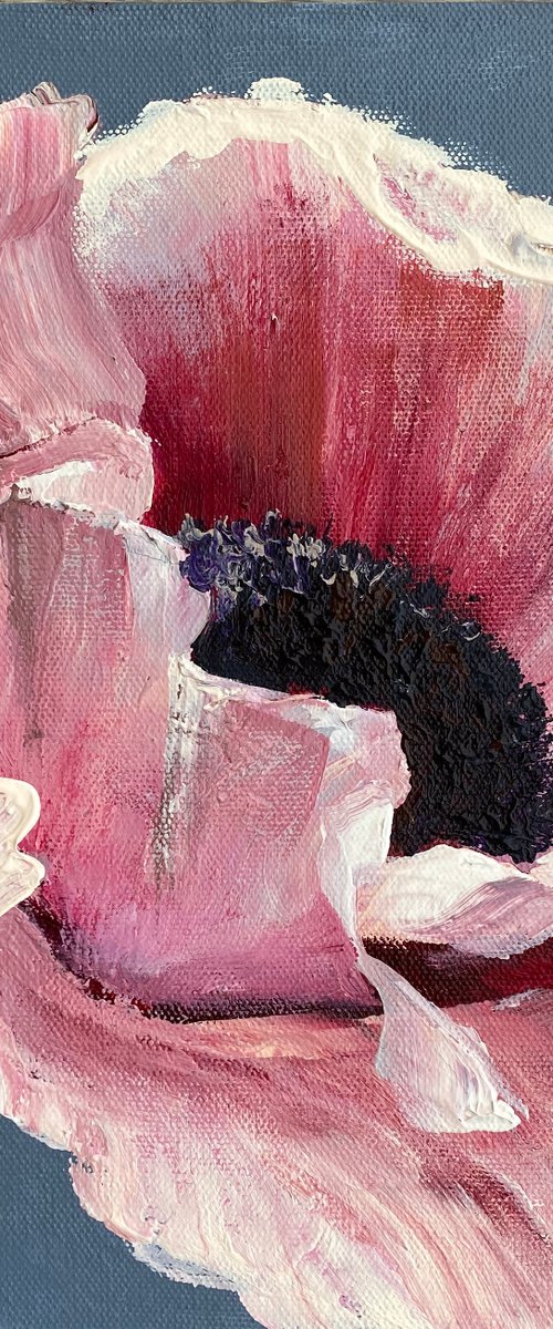 PINK POPPY by Oksana Petrova