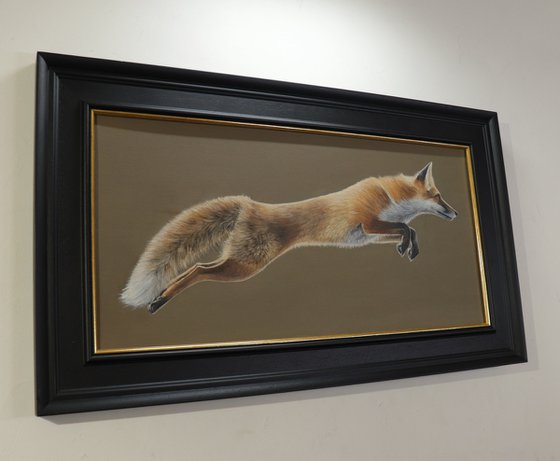 A Fox in Motion