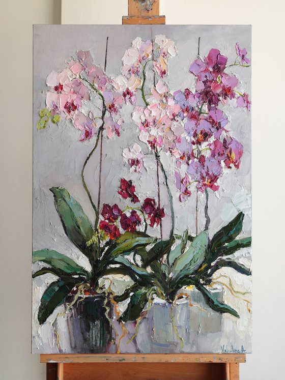 Blooming Orchids