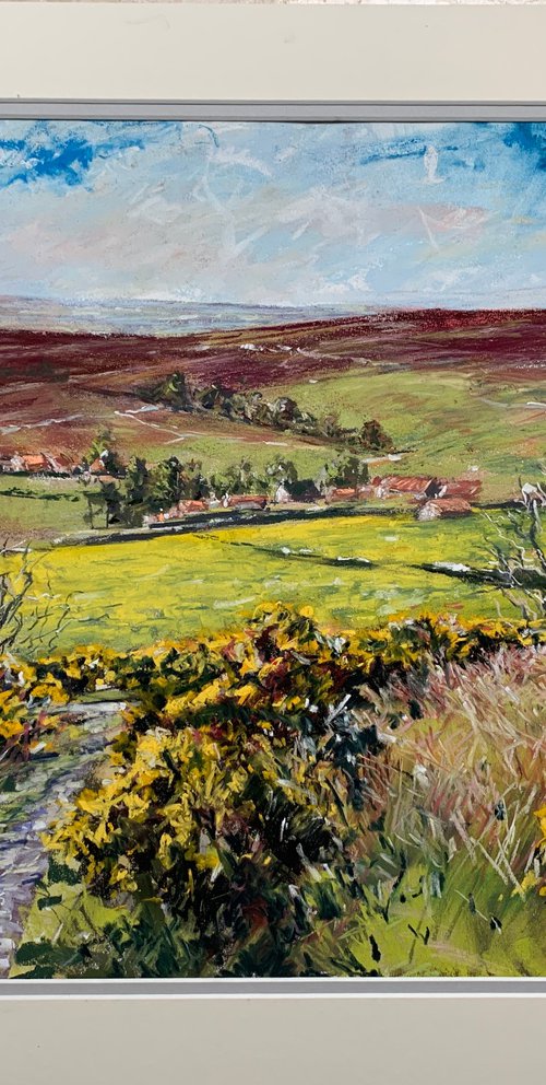 Golden Gorse by Andrew Moodie