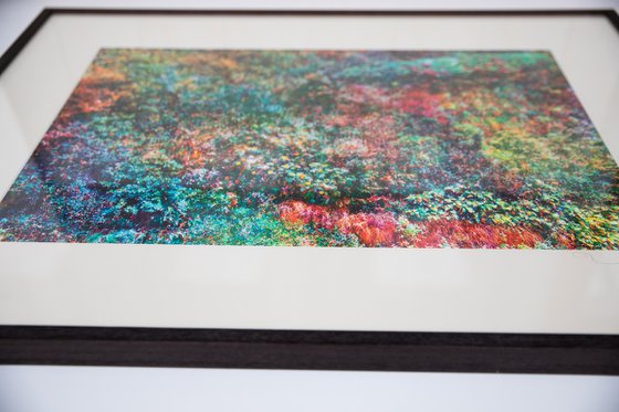 Wall of Nature XXIX (Framed)