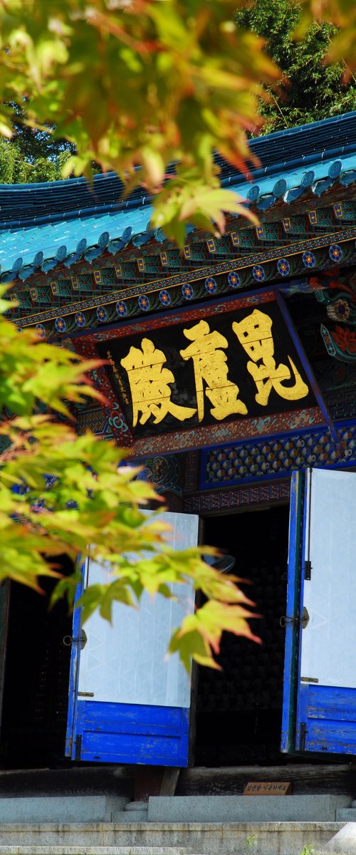 Golden Letters Beneath Autumn Leaves by sangwon jeon
