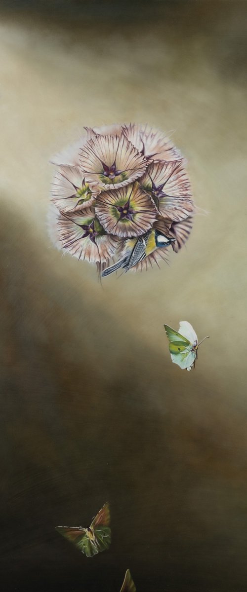 Hide and seek by Natalie Toplass