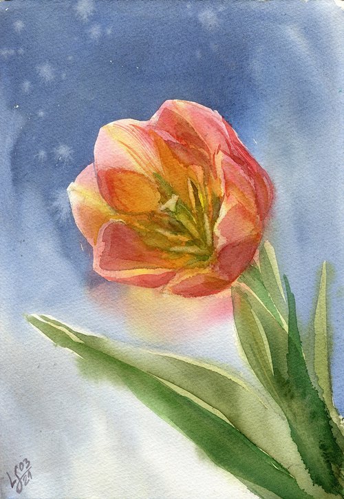 Orange Tulip by SVITLANA LAGUTINA