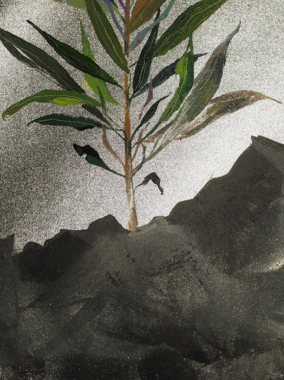 Fireweed