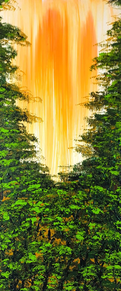 Nice Forest 2 by Daniel Urbaník
