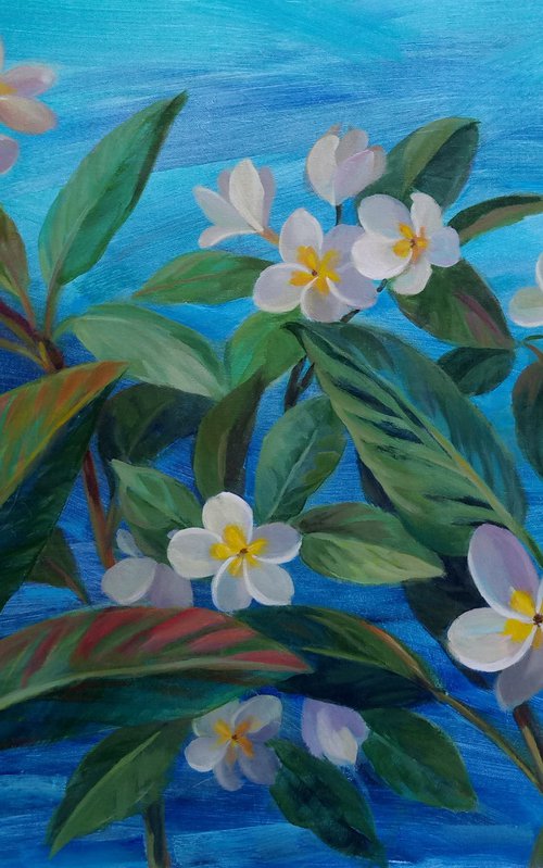 Oceanside Plumeria by Silvia  Vassileva